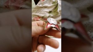 Орден Красной звезды