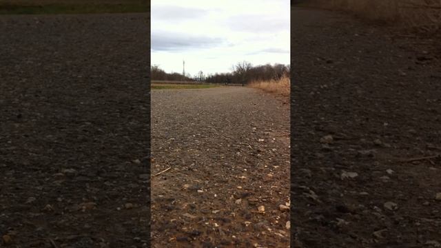 Garelli Gulp 3V смотреть онлайн