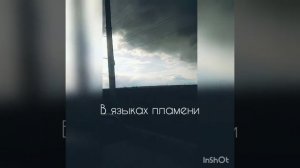 Перевод песни Стинг Роза пустыни 🌹