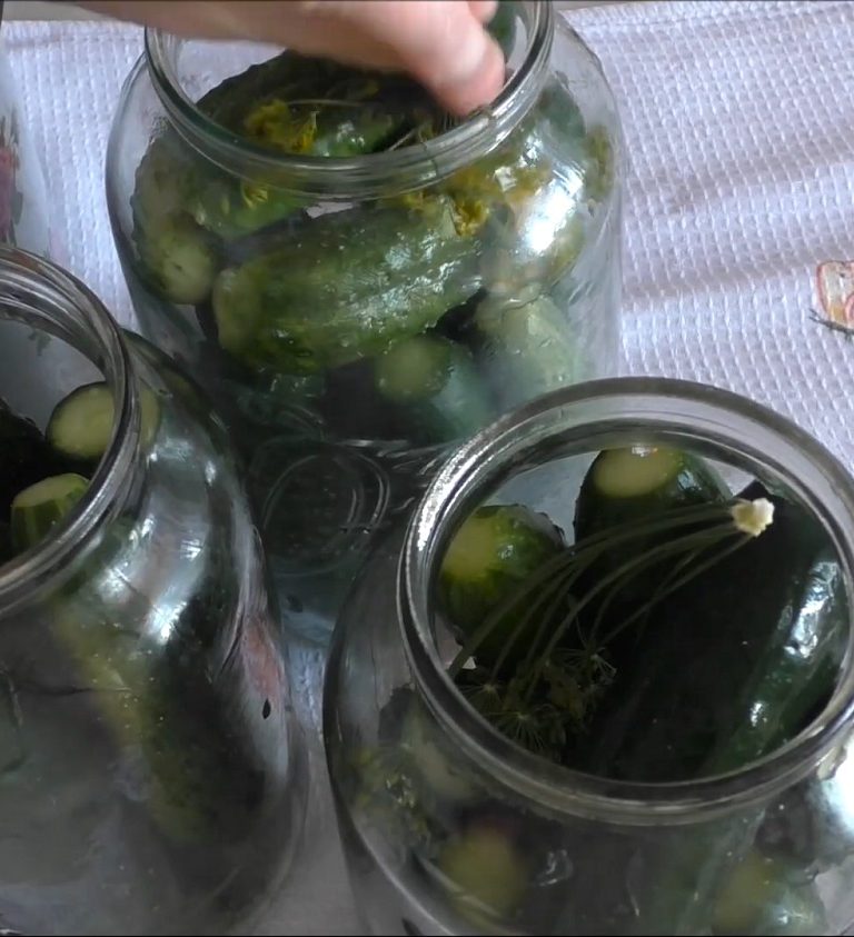 Маринованные огурцы, стоят как слезка всю зиму. Рецепты проверенные годами. смотреть онлайн