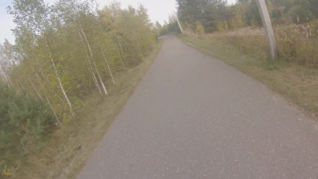 Лыжероллерная трасса г. Кострома