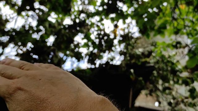 Как дела на даче смотреть онлайн