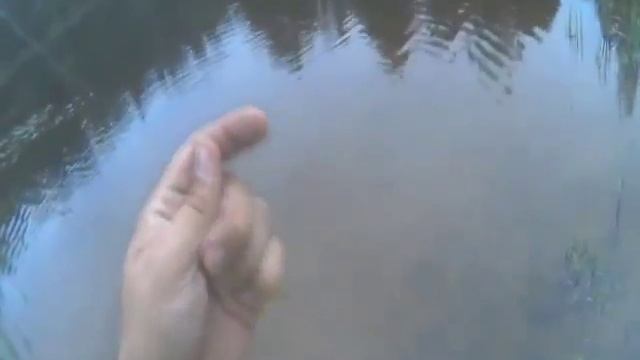 Ловля окуня летом. Окунь на удочку смотреть онлайн