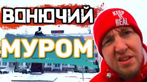 НЕ ПРИЕЗЖАЙ в МУРОМ Пока Не Посмотришь 🇷🇺