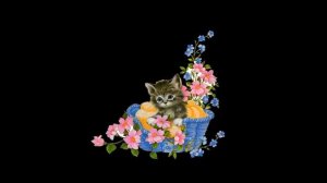 Кальцивироз у кошек - правда от ветклиники