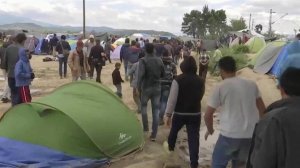 Сотни беженцев из стран Африки и Ближнего Востока вновь попытались штурмовать границу с Македонией