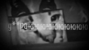 я невозможно скучаю....?(Йоши и Шлёпа?)