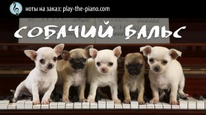 Собачий вальс  - Ноты на заказ \ аранжировка для фортепиано