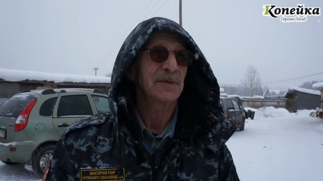 Поездка в приют Гвардия