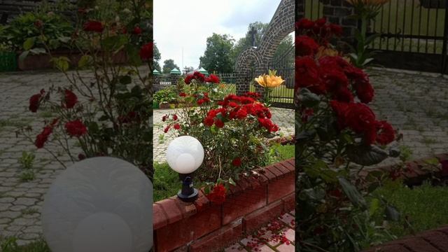 "На реках Вавилонских" Виконує хор Хресто-Воздвиженського храму с. Полиці смотреть онлайн