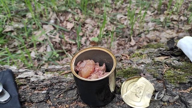 Тест титановой печки щепочницы с Алика. смотреть онлайн