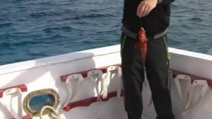 Рыбалка в Египте, ловля Барракуды (Хургада январь 2011)