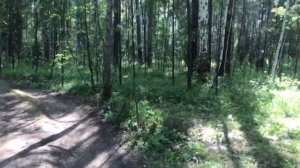 Нудистский пляж