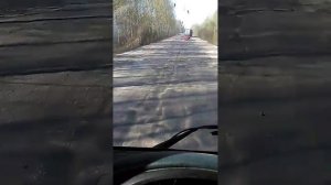 Дороги России дорога от трасы м 10 Ленинградского шоссе до Тихвина Ленинградской области