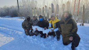 Охота на зайца! Закрытие сезона! Коллектив доволен!! Омская область