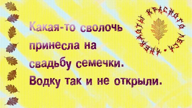 Сборник смешных коротких анекдотов для поднятия жизненного тонуса! Юмор по-доброму! смотреть онлайн