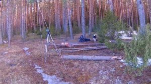 Налим попутал ПЕДАЛИ! Когда должен клевать НАЛИМ? Налимья тропа - Болен Рыбалкой №660