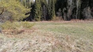 Краш-тест китайской фрезы по корням и камням