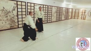 Волгоградская школа айкидо и иайдо