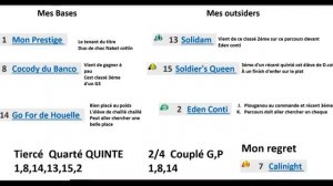 PRONOSTICS   TURF 100% QUINTE  MARDI 14   JANVIER 2020