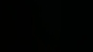 I know I know  (adjective [vol. 1])