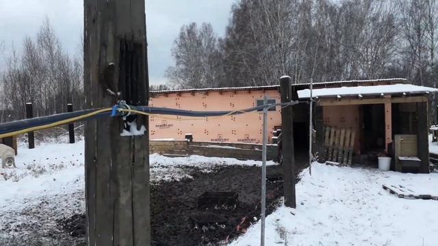 Зимняя вода на ферме. Зимний наружный водопровод 20 м. Проблема и решения. смотреть онлайн