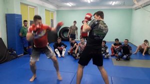 Тренировка ММА, приёмы ММА