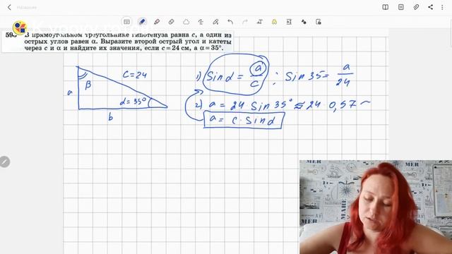 Геометрия 8 класс. Задача № 596