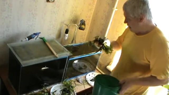 Промывка водорослей, мужик промывает водоросли в аквариуме — Геннадий Горин