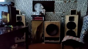 Про Eighteen Sound 18W2001/8, эквалайзер и проц DBX