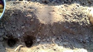 Посадка лука осенью под зиму.Я этого не знала?