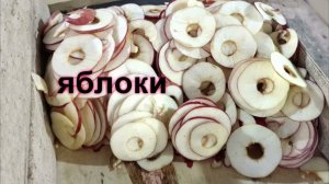 Линейная модульная сушилка