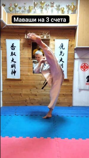 Маваши на 3 счета Киокушин Каратэ / Kyokushin Karate