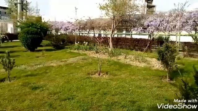 ЧУДЕСНЫЕ РАДОСТНЫЕ КРАСКИ ВЕСНЫ! У НАС ВСЁ ЦВЕТЁТ И ЗЕЛЕНЕЕТ! #парк #природа смотреть онлайн