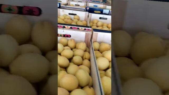 Абрикос Ананасный качество продукции на складе