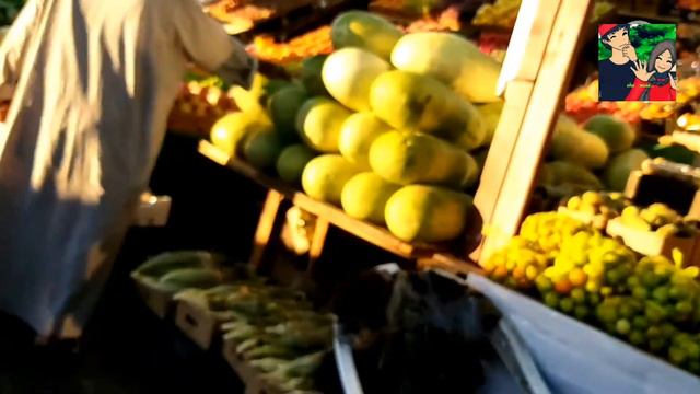 taif travel volg/Taif saudi Arabia. смотреть онлайн