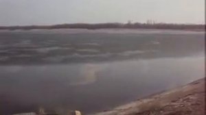 рыбалка весной в Донецке, обзор рыбных мест