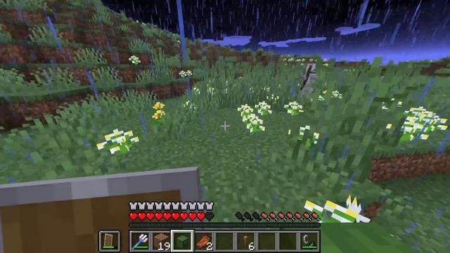 20 Rarest Things in Minecraft and How To Get Them! смотреть онлайн