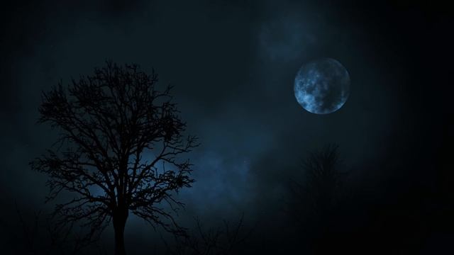 Owls hooting at night. 8 hours of owl sounds *hoot* *hoot* смотреть онлайн