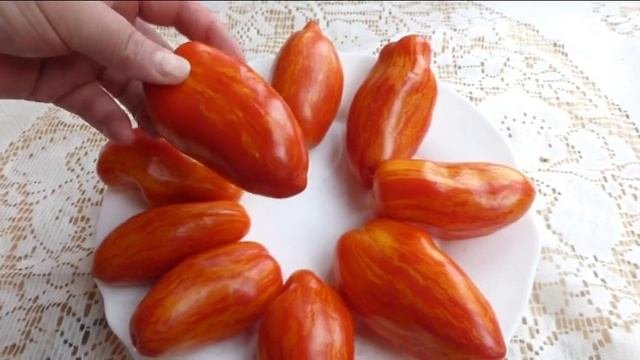 Коллекционные сорта томатов в разрезе   9 часть