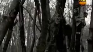 Реальный снежный человек пойман в горах Алтая