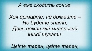 Слова песни Диана Гурцкая - Цвіте терен