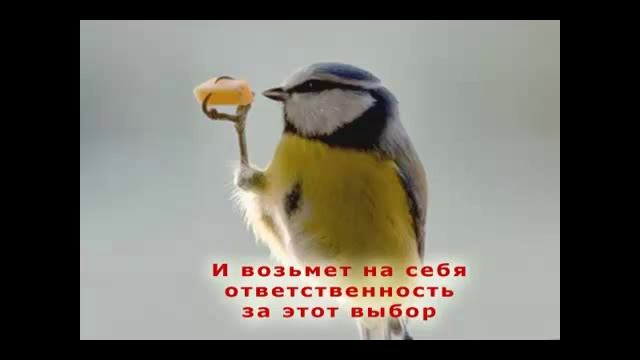 С ДНЕМ СЕТЕВИКА!