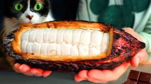 СДЕЛАЛ ШОКОЛАД С КАКАО-БОБА!