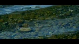 ЛОСОСЬ РЫБАЛКА! КАК ПОЙМАТЬ РЫБУ ЛОСОСЬ С БЕРЕГА / Канада Британская Колумбия