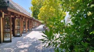 ПлантаКото на Мальдивах - обзор острова Виламенду