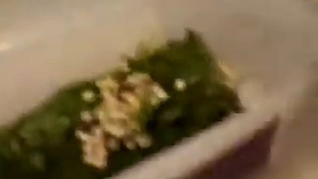 ИнкубациЯ улиток ахатин смотреть онлайн