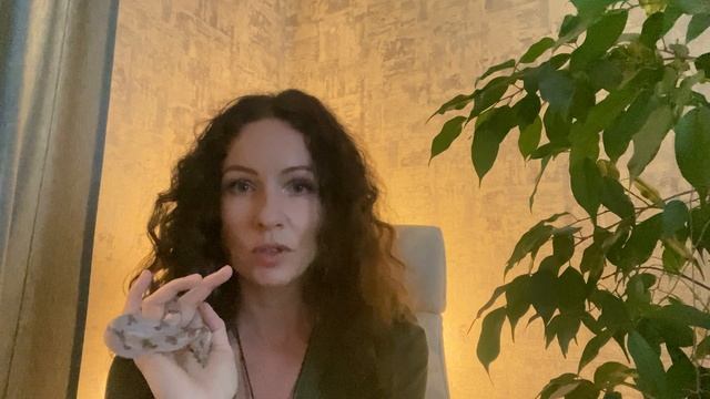 Как читать полные книги на Литрес бесплатно