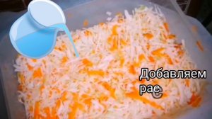 Капуста квашеная простой рецепт.Как быстро приготовить квашеную капусту  #просто_добавь_воды #4k