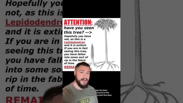 If You See This Tree Your Day Is Ruined… смотреть онлайн